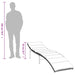 Ligbedden 2 st met tafel poly rattan lichtgrijs