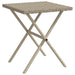 Ligbedden 2 st met tafel poly rattan lichtgrijs
