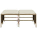 Tuinkrukken met kussens 4 st poly rattan beige