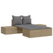 Ligbed 2-persoons met kussens poly rattan beige