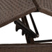 Ligstoelen 2 st met tafel poly rattan bruin (alleen VS)