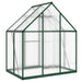 Tuinkas met basisframe 169x114x195 cm aluminium groen