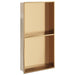 Douchenis 32x62x9 cm roestvrijstaal geborsteld goudkleurig
