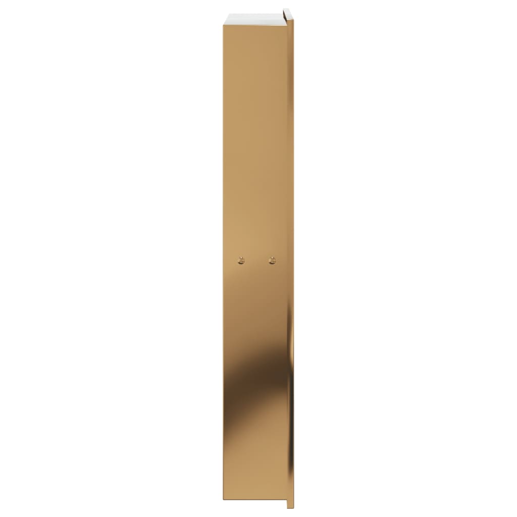 Douchenis 32x62x9 cm roestvrijstaal geborsteld goudkleurig
