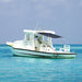 Schaduwdoekset T-top 170x170x(113-182,5) cm blauw