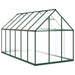 Tuinkas met basisframe 334x169x195 cm aluminium groen