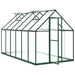 Tuinkas met basisframe 334x169x195 cm aluminium groen