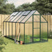 Tuinkas met basisframe 334x169x202 cm aluminium groen