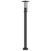Vloerlamp voor buiten 100 cm roestvrij staal zwart