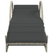 Ligbedden 2 st met kussens poly rattan lichtgrijs