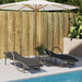Ligbedden 2 st met kussens poly rattan lichtgrijs