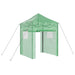 Kas met pop-up frame met dak Groen 200 x 200 x 300 cm IJzer