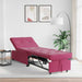 Slaapbank Wijnrood 194 x 67 x 82 cm Fluweel