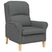 Fauteuil Donkergrijs Stof