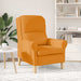 Fauteuil Donkergeel Stof