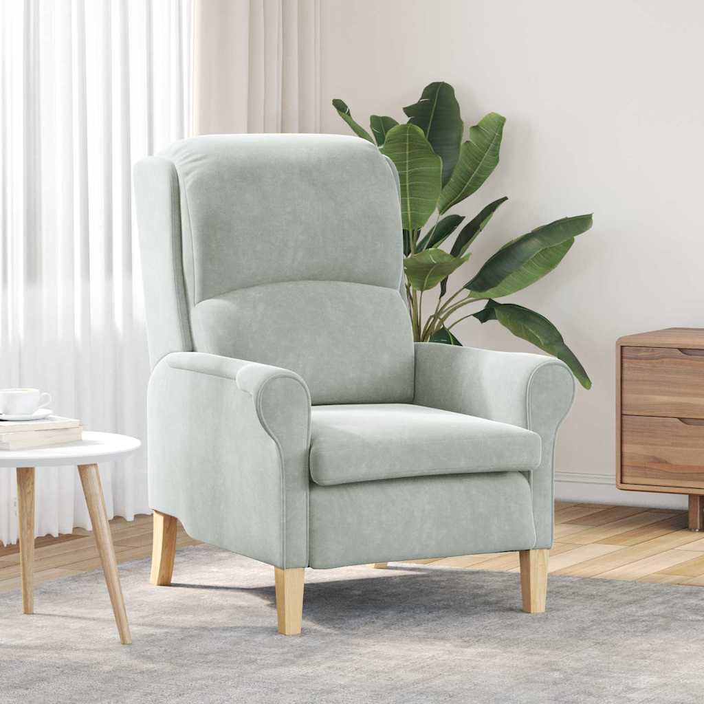 Fauteuil Lichtgrijs Fluweel