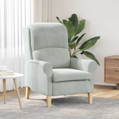 Fauteuil Lichtgrijs Fluweel