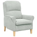 Fauteuil Lichtgrijs Fluweel