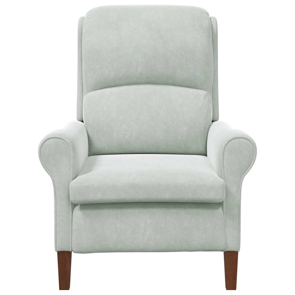 Fauteuil Lichtgrijs Fluweel