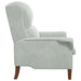 Fauteuil Lichtgrijs Fluweel