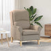 Fauteuil Taupe Microvezel