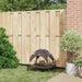 Hondenbed Bruin 62 x 48 x 61 cm Staal