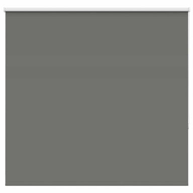 Rolgordijn verduisterend 165x150 cm stofbreedte 161,6 cm grijs