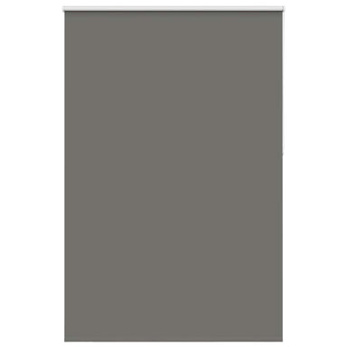 Rolgordijn verduisterend 165x210 cm stofbreedte 161,6 cm grijs