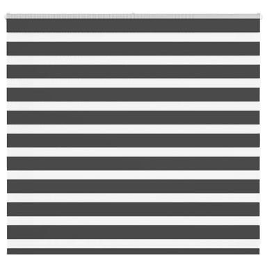 Zebra rolgordijn 160x100 cm stofbreedte 155,9 cm zwart