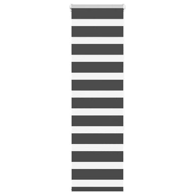 Zebra rolgordijn 50x150 cm stofbreedte 45,9cm zwart