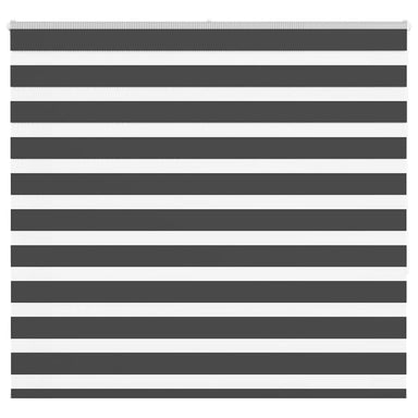 Zebra rolgordijn 165x150 cm stofbreedte 160,9 cm zwart