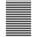 Zebra rolgordijn 165x230 cm stofbreedte 160,9 cm zwart