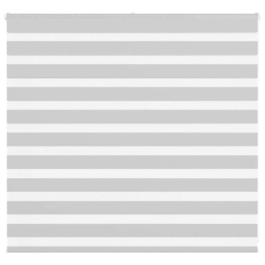 Zebra rolgordijn 165x100 cm stofbreedte 160,9 cm lichtgrijs