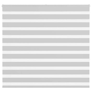 Zebra rolgordijn 160x150 cm stofbreedte 155,9 cm lichtgrijs