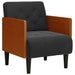Fauteuil met armleuningen 55 cm fluweel zwart