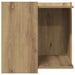 Kattenbakkast 53x53x51 cm bewerkt hout artisanaal eikenkleurig