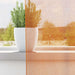 Gordijnen voile met doorvoertules 2 st 140x245 cm oranje