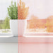 Gordijnen voile met roedezakken 2 st roze
