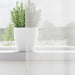 Gordijnen voile met roedezakken 2 st wit