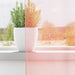 Gordijnen voile met lussen 2 st 140x140 cm roze