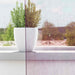 Gordijnen met lussen 2 st 140x245 cm paars