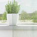 Gordijnen voile met lussen 2 st 140x260 cm lichtgrijs