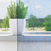 Gordijnen voile met lussen 2 st 140x245 cm koningsblauw