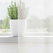 Gordijnen voile met lussen 2 st 140x140 cm wit