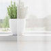 Gordijnen met lussen 2 st 140x260 cm wit