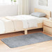 Hoogpolig vloerkleed NAVARRA 80x150 cm polyester lichtgrijs