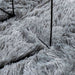Hoogpolig vloerkleed NAVARRA 80x150 cm polyester zilvergrijs
