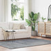 Hoogpolig vloerkleed NAVARRA 160x230 cm polyester lichtgrijs