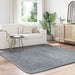 Hoogpolig vloerkleed NAVARRA 200x200 cm polyester lichtgrijs