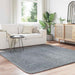 Hoogpolig vloerkleed NAVARRA 200x200 cm polyester zilvergrijs